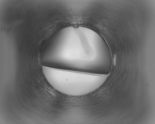 X0000076431444200610060947
