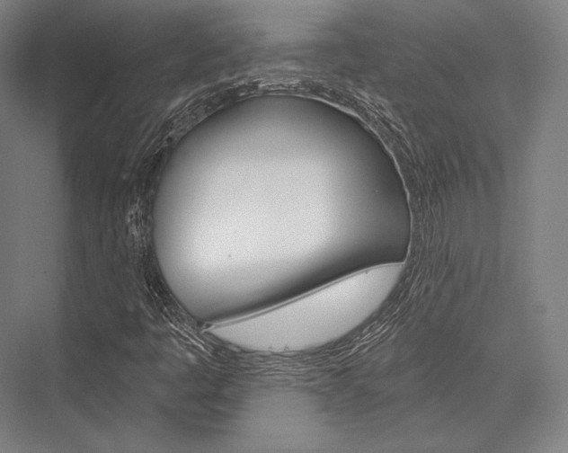X0000076431445200610060947