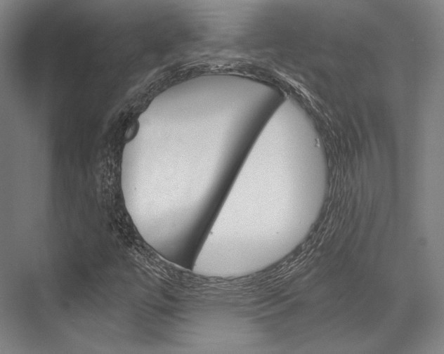 X0000076431447200610060947
