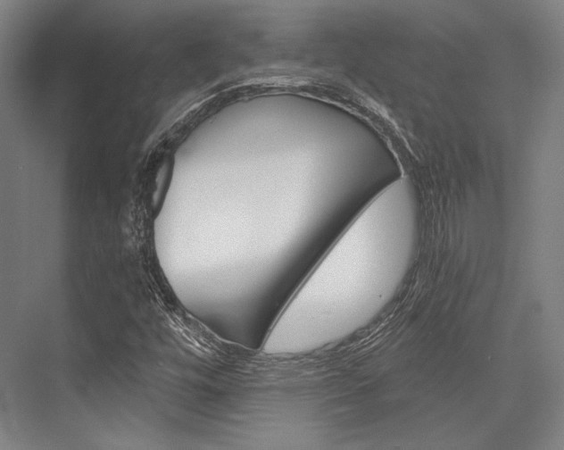 X0000076431448200610060947