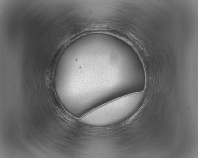X0000076431449200610060947
