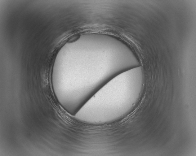 X0000076431451200610060947