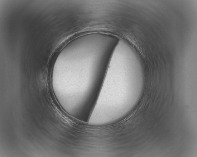 X0000076431452200610060947