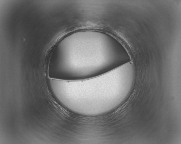X0000076431455200610060947