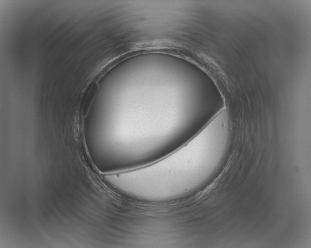 X0000076431457200610060947