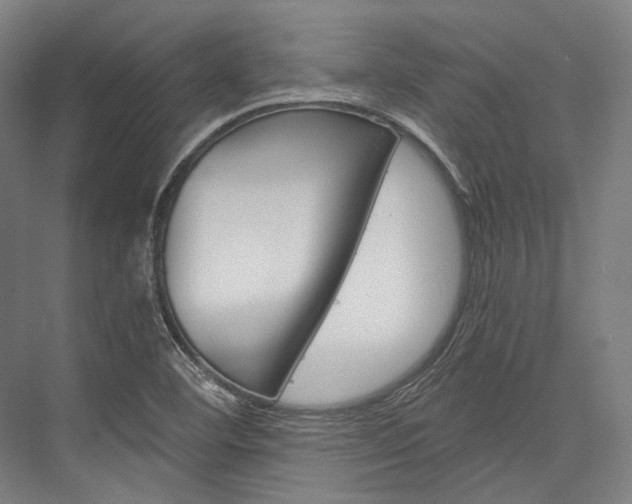 X0000076431460200610060947