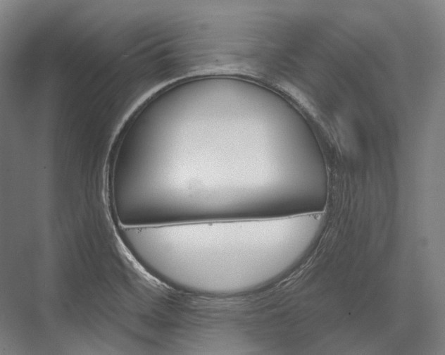 X0000076431468200610060947