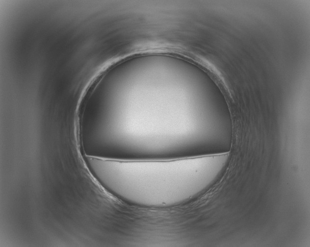 X0000076431472200610060946