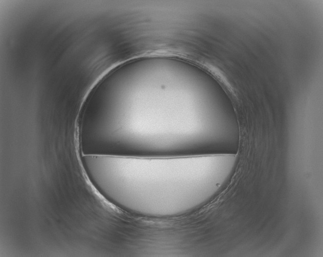 X0000076431476200610060946