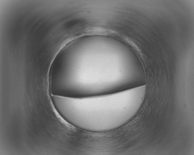 X0000076431479200610060946