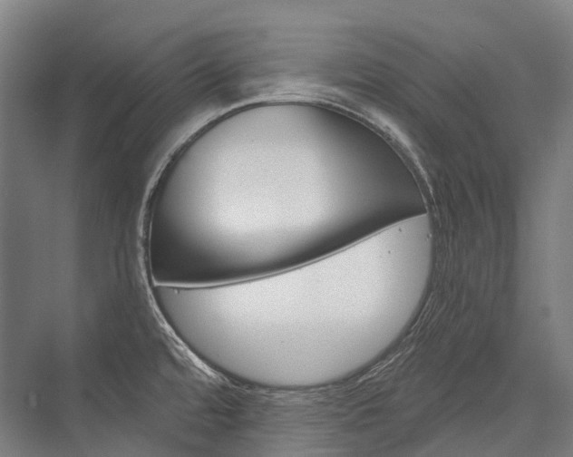 X0000076431480200610060946