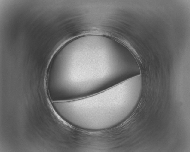 X0000076431484200610060946