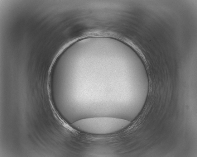 X0000076431486200610060946