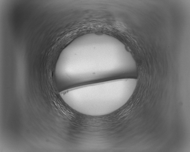 X0000076431489200610060945