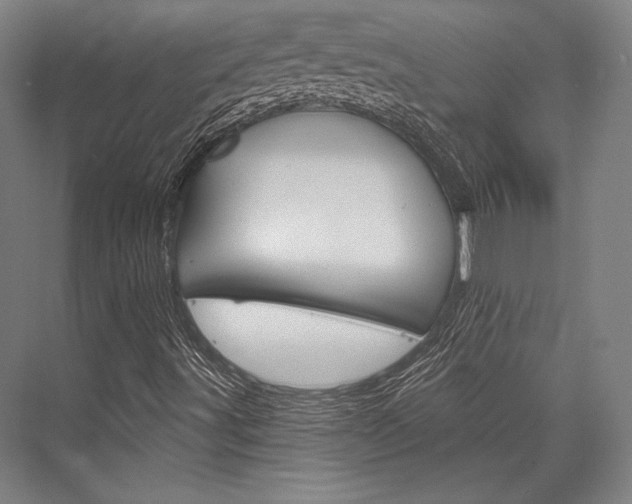 X0000076431491200610060945