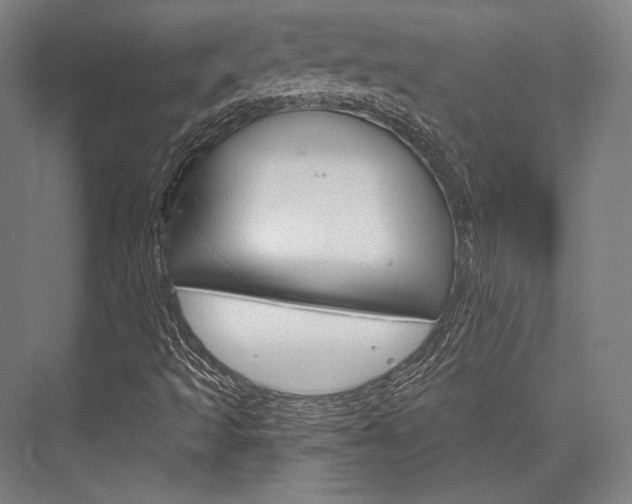 X0000076431493200610060945