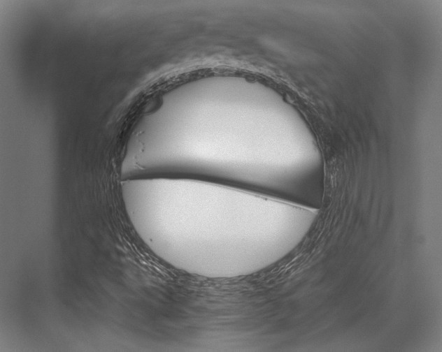 X0000076431495200610060945