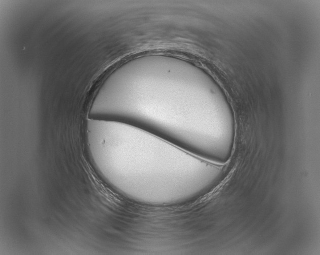 X0000076431497200610060946