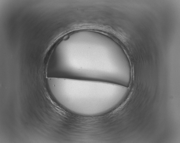 X0000076431501200610060946