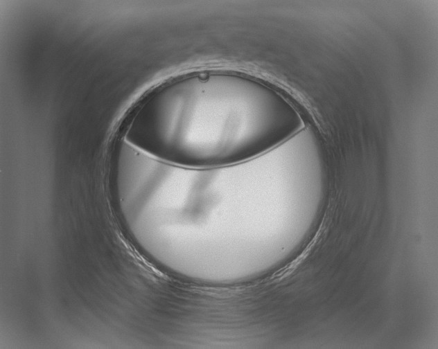 X0000076431502200610060946