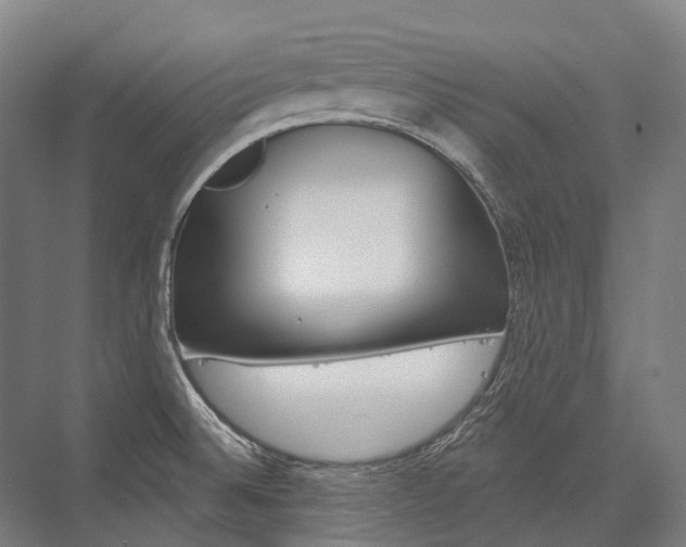 X0000076431524200610060946