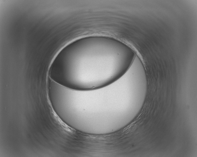 X0000076431532200610060946