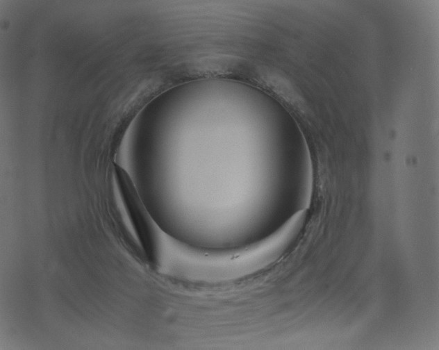 X0000076430021200610061244
