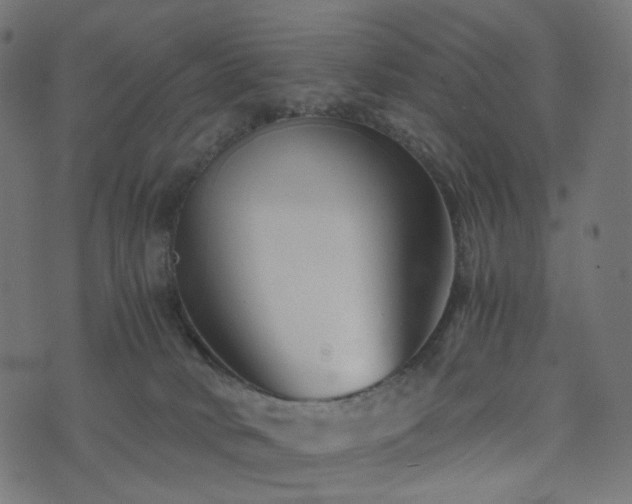 X0000076430034200610061243