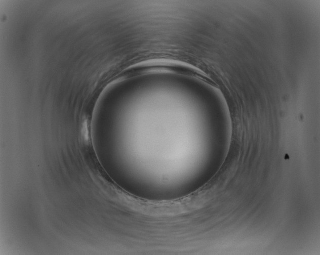 X0000076430042200610061243