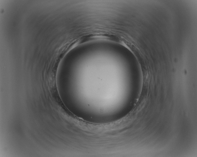 X0000076430043200610061243