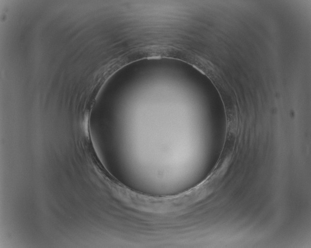 X0000076430047200610061243
