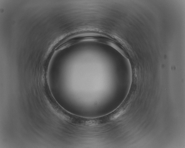 X0000076430064200610061243