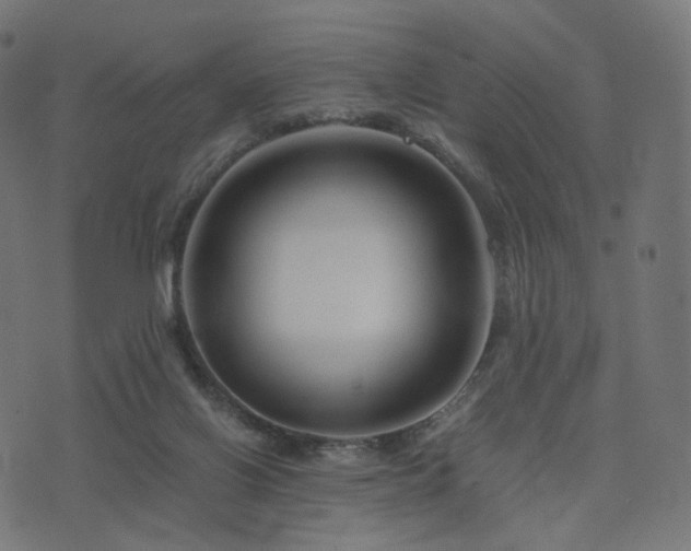 X0000076430070200610061243