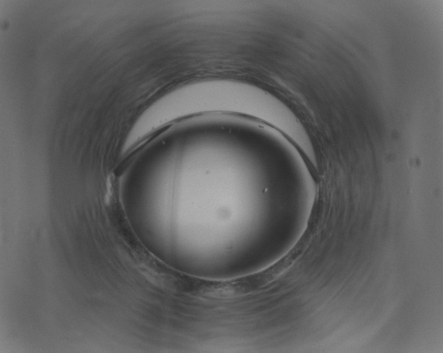 X0000076430075200610061243