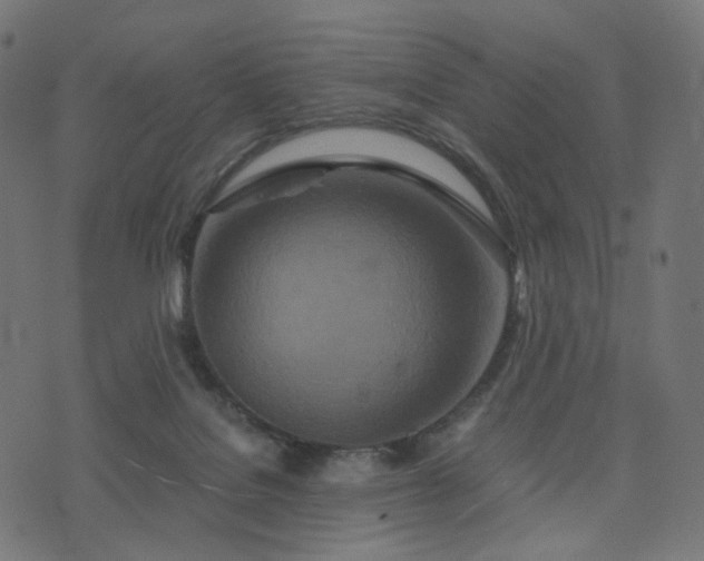 X0000076430076200610061243