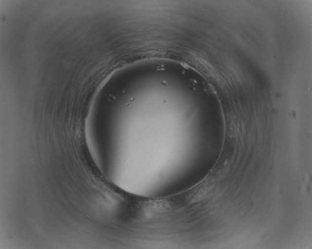 X0000076430077200610061243