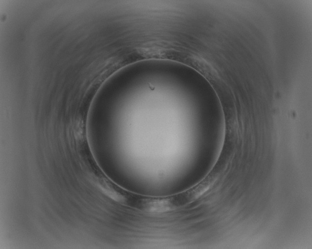 X0000076430081200610061243