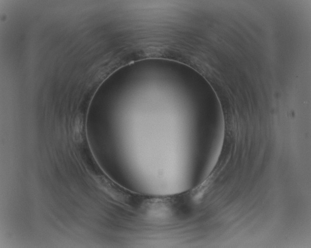X0000076430082200610061243