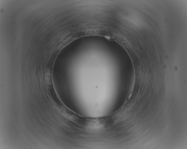 X0000076430083200610061243