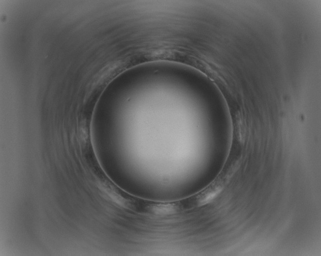 X0000076430085200610061243