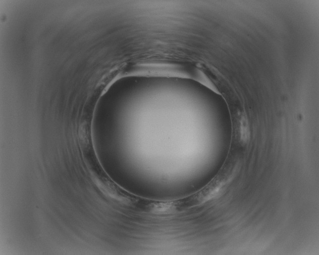 X0000076430088200610061243