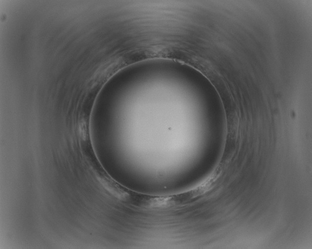 X0000076430090200610061243