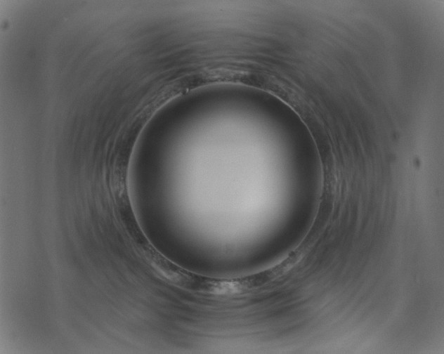 X0000076430091200610061243