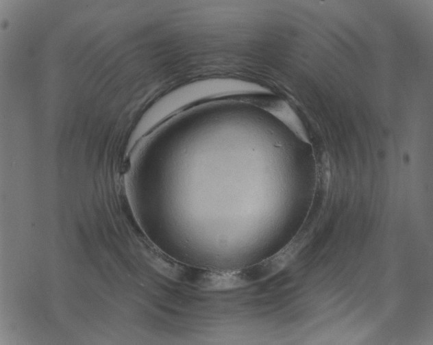 X0000076430093200610061243