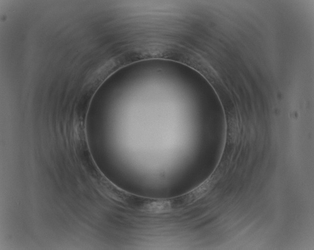 X0000076430126200610061242