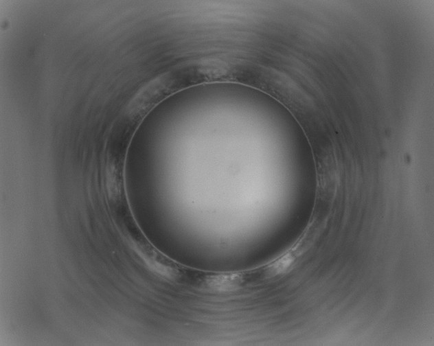 X0000076430136200610061242