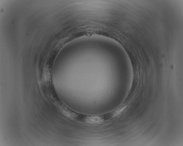 X0000076430137200610061242