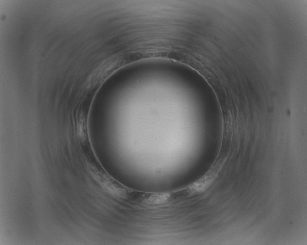 X0000076430138200610061242