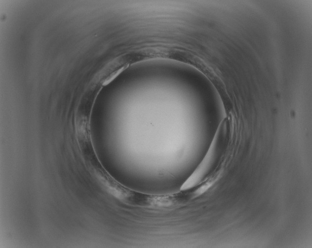 X0000076430141200610061242