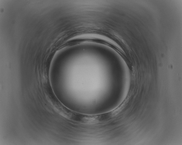 X0000076430170200610061241